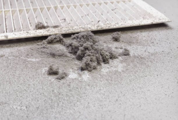 Best Local Air Duct Cleaning Services  in Cockeysville, MD